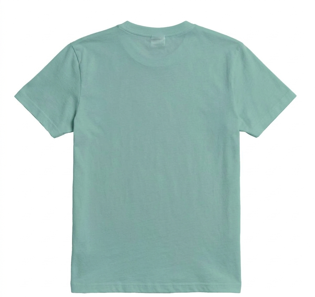 Heavy Cotton™ T-Shirt Graphite.